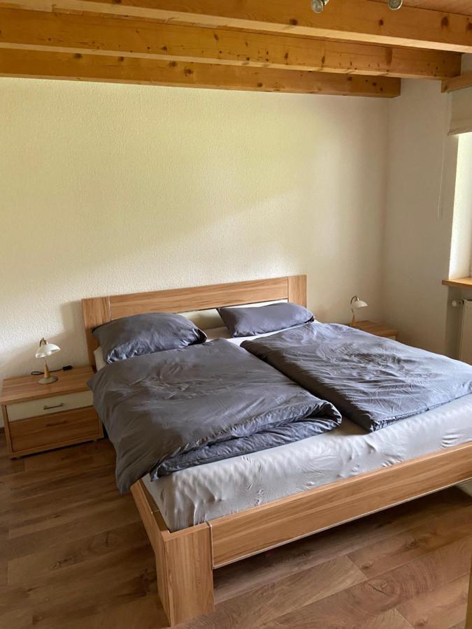 Ferienwohnung Im Herzen Graubuendens Surava Екстериор снимка